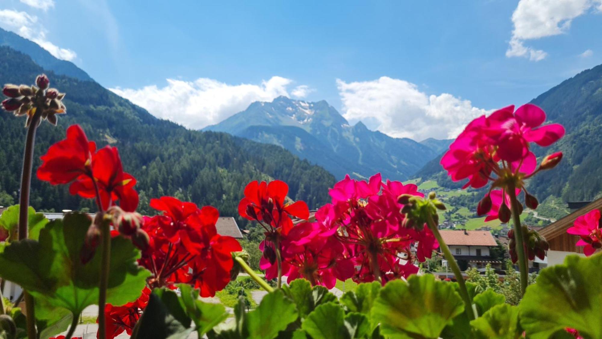 Scheulinghof Hotel Mayrhofen Bagian luar foto