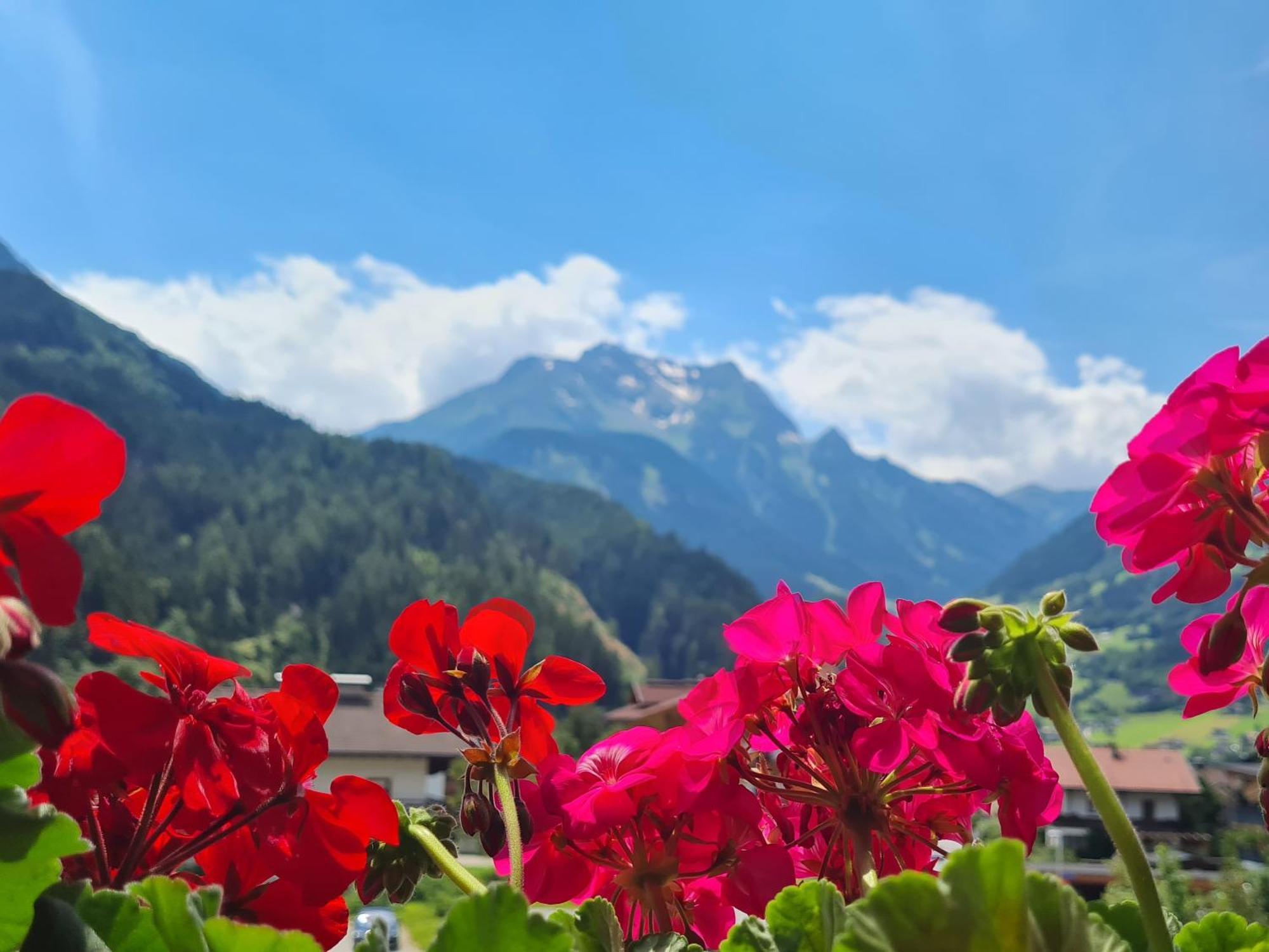 Scheulinghof Hotel Mayrhofen Bagian luar foto