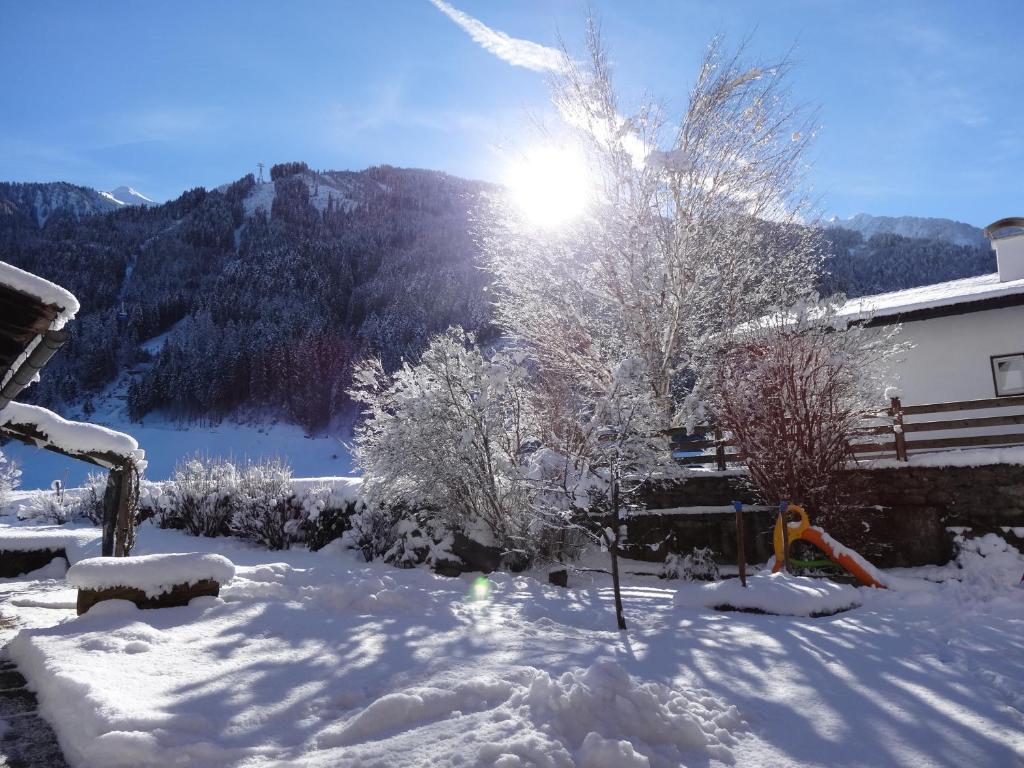 Scheulinghof Hotel Mayrhofen Bagian luar foto